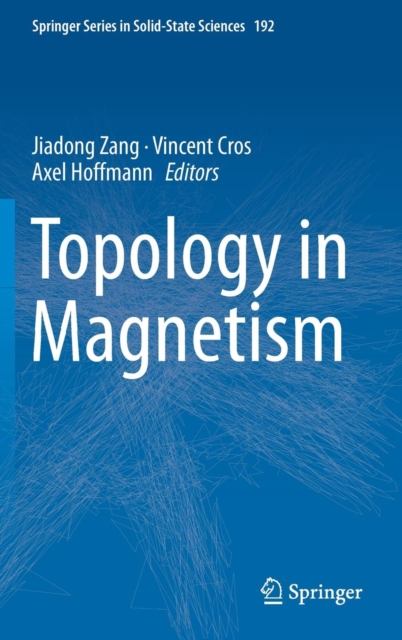 Topology in Magnetism, Hardback Book