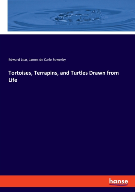Tortoises, Terrapins, and Turtles Drawn from Life, Paperback / softback Book