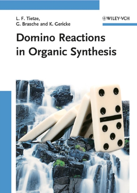 Domino Reactions in Organic Synthesis, Hardback Book