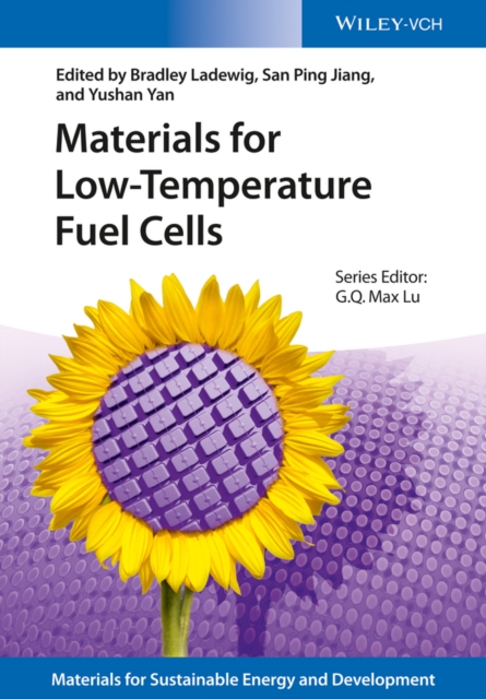 Materials for Low-Temperature Fuel Cells, Hardback Book
