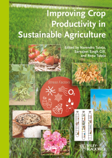 Improving Crop Productivity in Sustainable Agriculture, Hardback Book