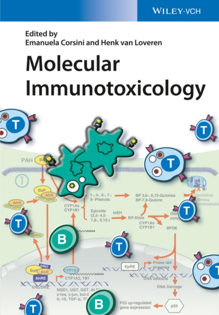 Molecular Immunotoxicology, Hardback Book