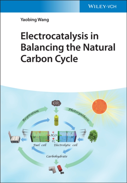Electrocatalysis in Balancing the Natural Carbon Cycle, EPUB eBook