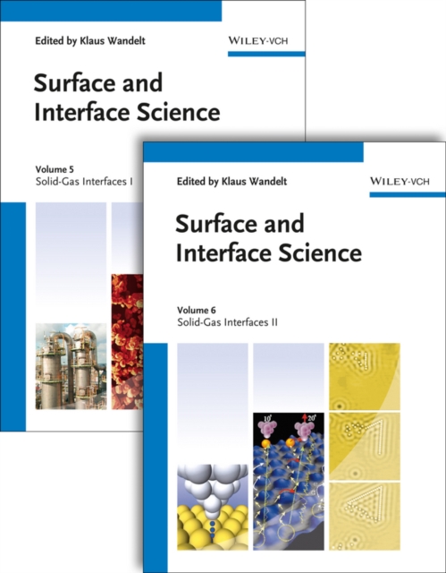 Surface and Interface Science, Volumes 5 and 6 : Volume 5 - Solid Gas Interfaces I; Volume 6 - Solid Gas Interfaces II, Hardback Book