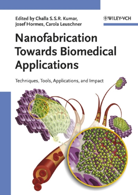 Nanofabrication Towards Biomedical Applications : Techniques, Tools, Applications, and Impact, PDF eBook