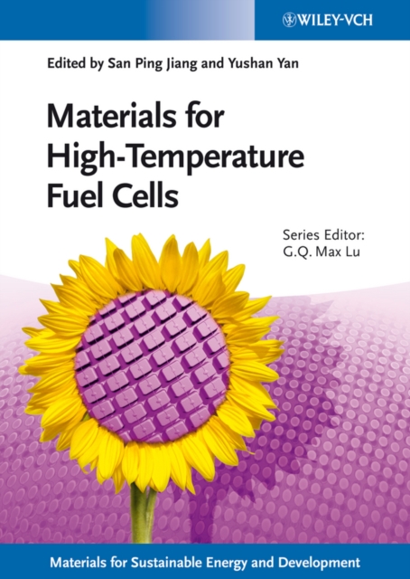 Materials for High-Temperature Fuel Cells, EPUB eBook