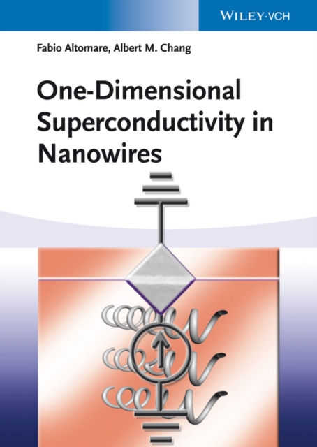 One-Dimensional Superconductivity in Nanowires, PDF eBook