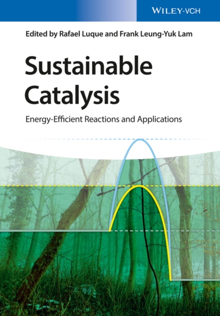 Sustainable Catalysis : Energy-Efficient Reactions and Applications, PDF eBook