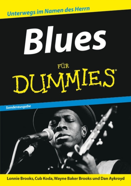 Blues Fur Dummies, Paperback Book
