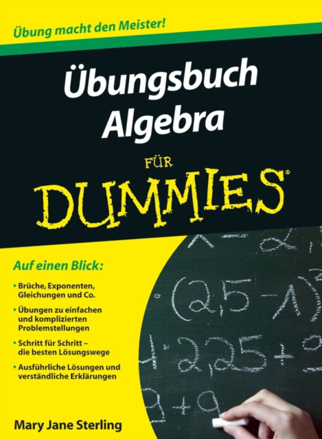 Ubungsbuch Algebra fur Dummies, Paperback / softback Book