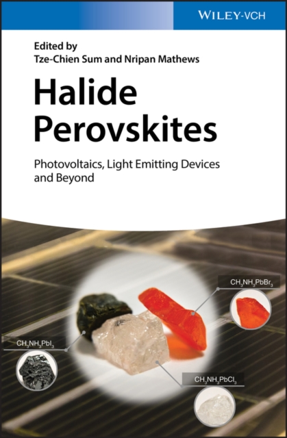 Halide Perovskites : Photovoltaics, Light Emitting Devices, and Beyond, PDF eBook