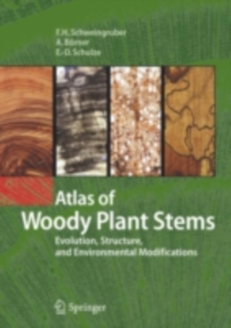 Atlas of Woody Plant Stems : Evolution, Structure, and Environmental Modifications, PDF eBook