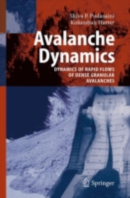 Avalanche Dynamics : Dynamics of Rapid Flows of Dense Granular Avalanches, PDF eBook