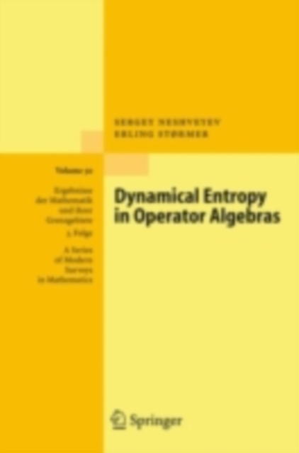 Dynamical Entropy in Operator Algebras, PDF eBook