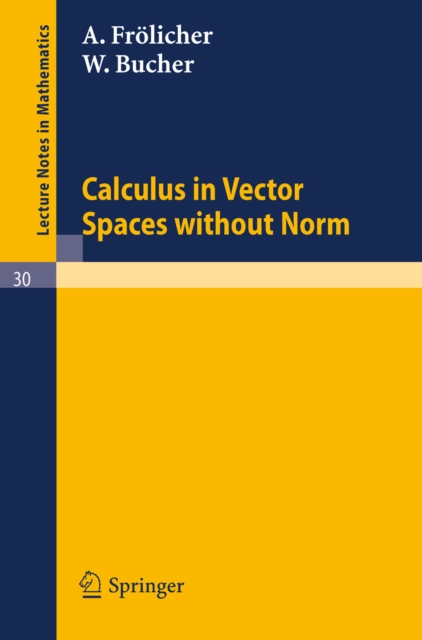 Calculus in Vector Spaces without Norm, PDF eBook