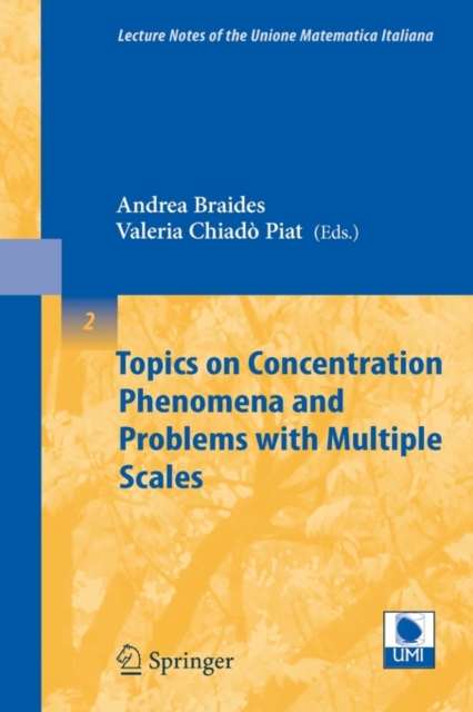 Topics on Concentration Phenomena and Problems with Multiple Scales, Paperback / softback Book