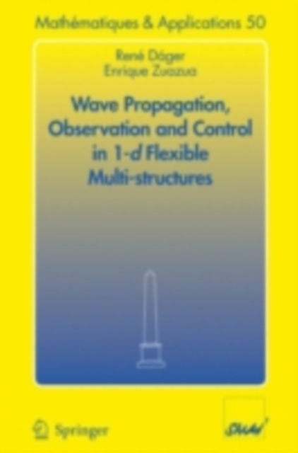 Wave Propagation, Observation and Control in 1-d Flexible Multi-Structures, PDF eBook