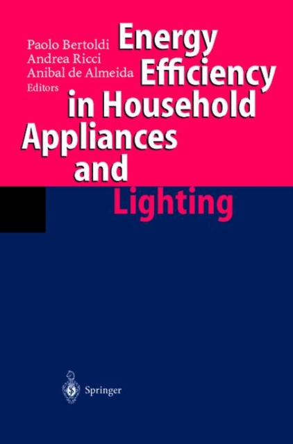 Energy Efficiency in Househould Appliances and Lighting, Paperback / softback Book