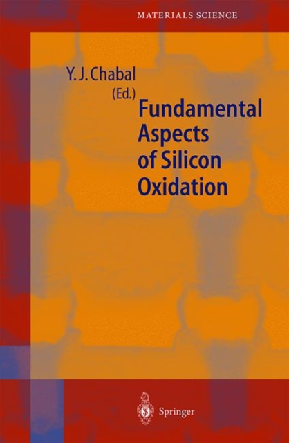 Fundamental Aspects of Silicon Oxidation, Hardback Book