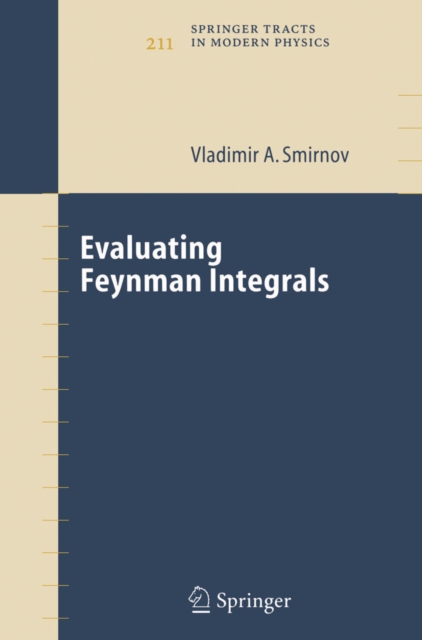 Evaluating Feynman Integrals, PDF eBook