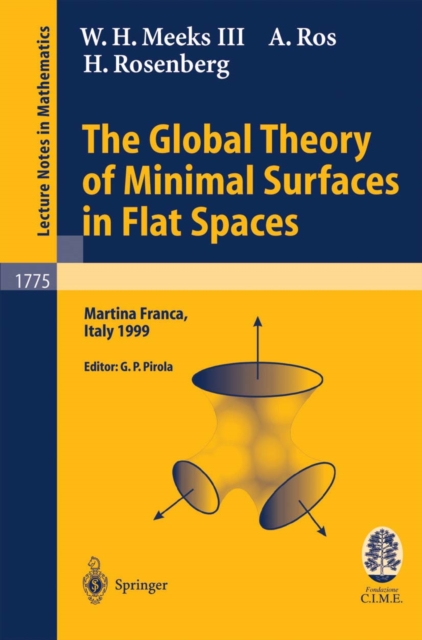 The Global Theory of Minimal Surfaces in Flat Spaces : Lectures given at the 2nd Session of the Centro Internazionale Matematico Estivo (C.I.M.E.) held in Martina Franca, Italy, June 7-14, 1999, PDF eBook