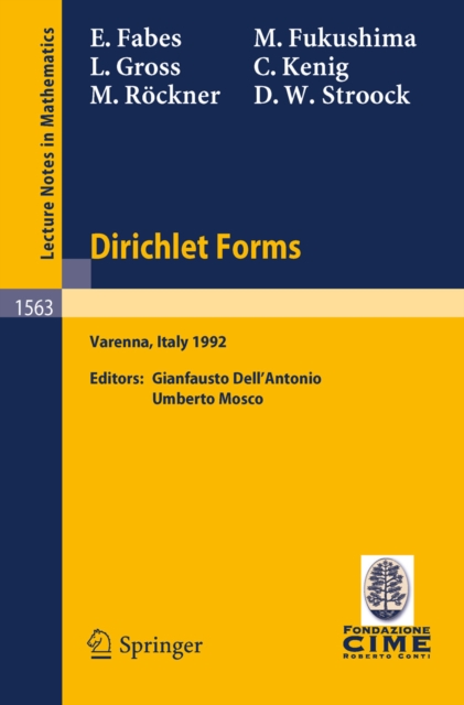 Dirichlet Forms : Lectures given at the 1st Session of the Centro Internazionale Matematico Estivo (C.I.M.E.) held in Varenna, Italy, June 8-19, 1992, PDF eBook