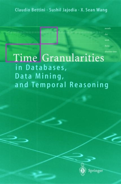 Time Granularities in Databases, Data Mining, and Temporal Reasoning, Hardback Book