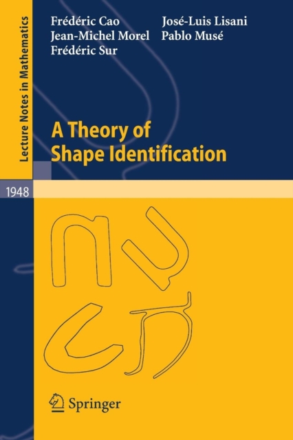 A Theory of Shape Identification, Paperback / softback Book