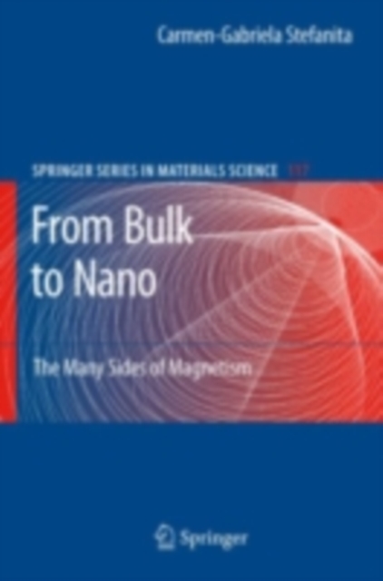 From Bulk to Nano : The Many Sides of Magnetism, PDF eBook
