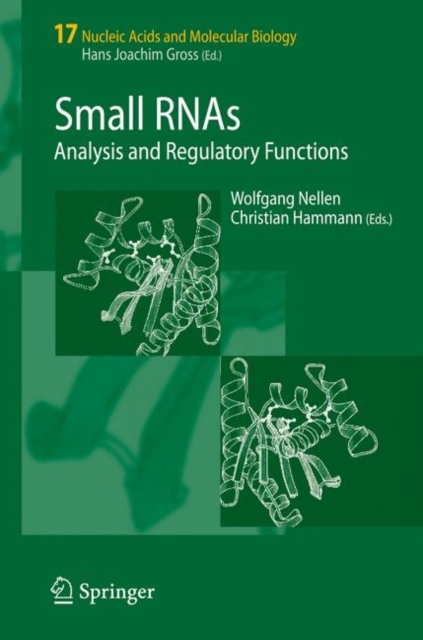 Small RNAs: : Analysis and Regulatory Functions, Paperback / softback Book