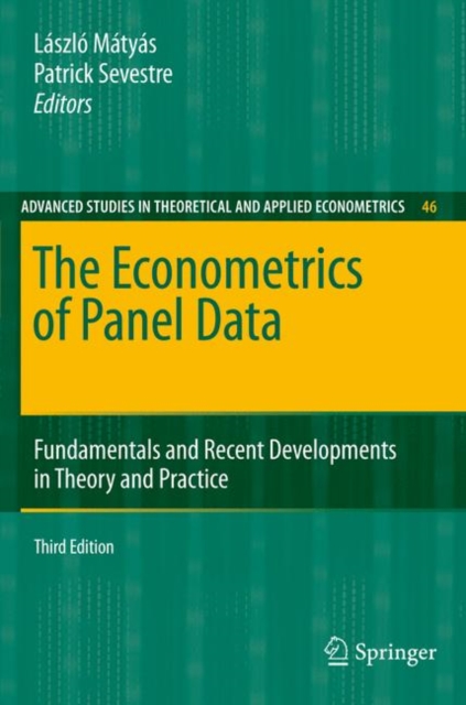 The Econometrics of Panel Data : Fundamentals and Recent Developments in Theory and Practice, Hardback Book