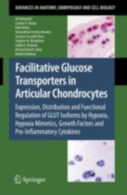 Facilitative Glucose Transporters in Articular Chondrocytes : Expression, Distribution and Functional Regulation of GLUT Isoforms by Hypoxia, Hypoxia Mimetics, Growth Factors and Pro-Inflammatory Cyto, PDF eBook