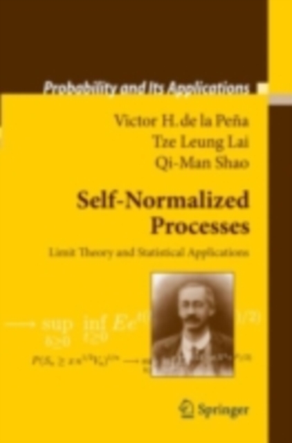Self-Normalized Processes : Limit Theory and Statistical Applications, PDF eBook