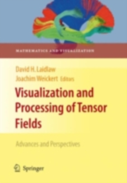 Visualization and Processing of Tensor Fields : Advances and Perspectives, PDF eBook