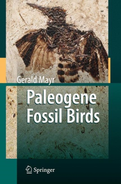 Paleogene Fossil Birds, Hardback Book