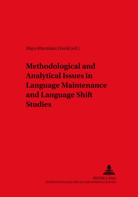 Methodological and Analytical Issues in Language Maintenance and Language Shift Studies, Paperback / softback Book