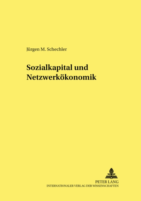 Sozialkapital Und Netzwerkoekonomik, Paperback / softback Book