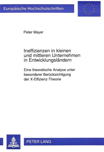 Ineffizienzen in kleinen und mittleren Unternehmen in Entwicklungslaendern : Eine theoretische Analyse unter besonderer Beruecksichtigung der X-Effizienz-Theorie, Paperback Book