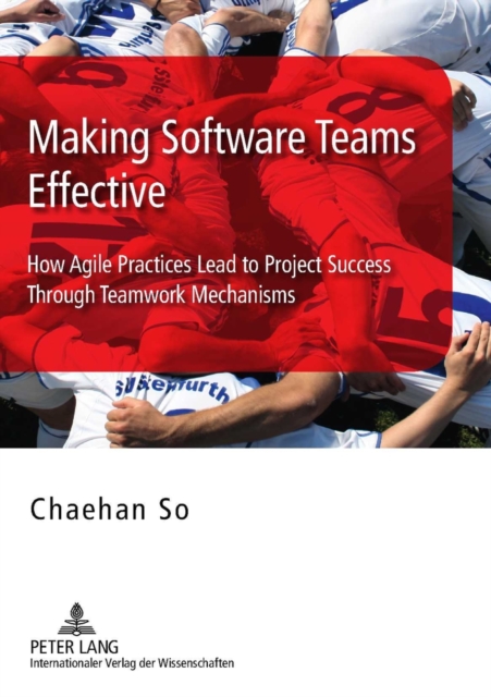 Making Software Teams Effective : How Agile Practices Lead to Project Success Through Teamwork Mechanisms, Hardback Book