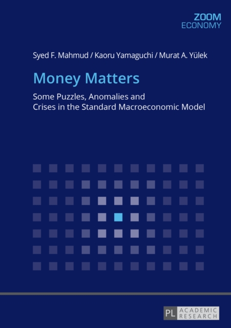 Money Matters : Some Puzzles, Anomalies and Crises in the Standard Macroeconomic Model, PDF eBook