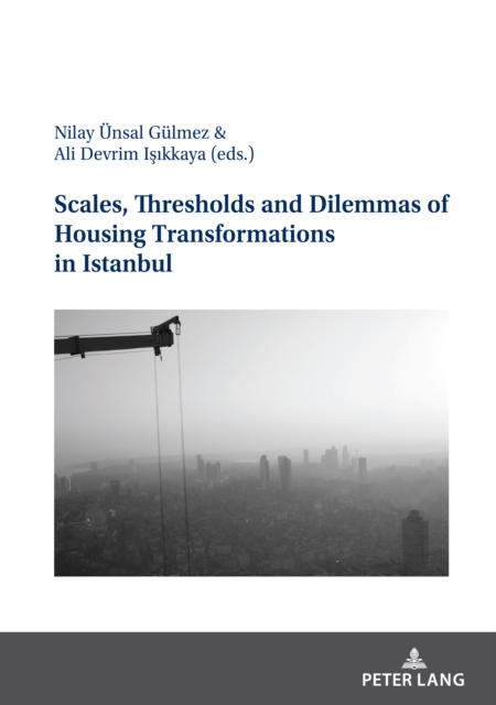 Scales, Thresholds And Dilemmas Of Housing Transformations In Istanbul, EPUB eBook