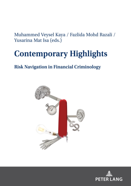 Contemporary Highlights: Risk Navigation in Financial Criminology, Paperback / softback Book