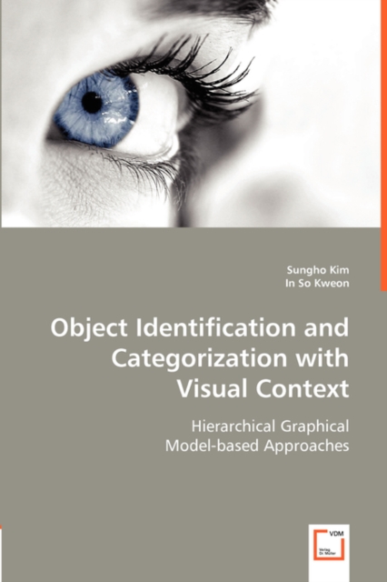 Object Identification and Categorization with Visual Context, Paperback / softback Book