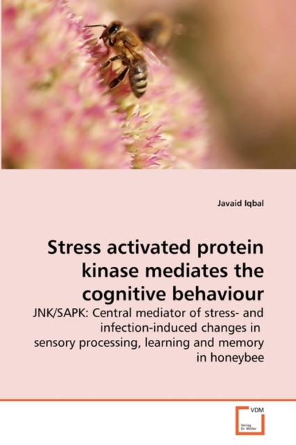 Stress Activated Protein Kinase Mediates the Cognitive Behaviour, Paperback / softback Book