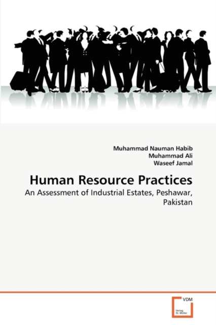Human Resource Practices, Paperback / softback Book
