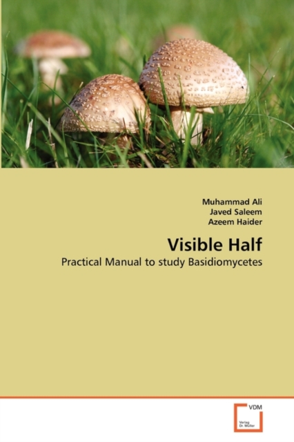 Visible Half, Paperback / softback Book