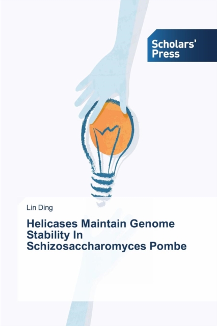 Helicases Maintain Genome Stability In Schizosaccharomyces Pombe, Paperback / softback Book