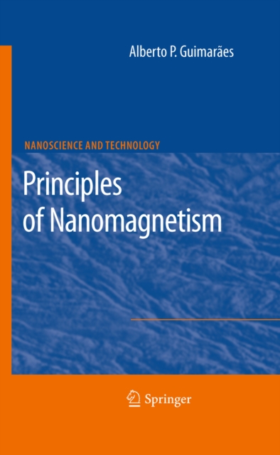 Principles of Nanomagnetism, PDF eBook