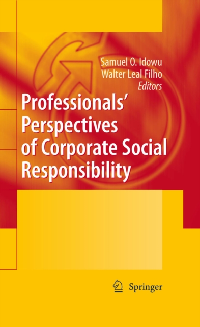 Professionals' Perspectives of Corporate Social Responsibility, PDF eBook