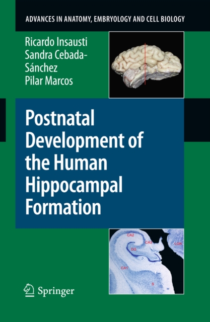 Postnatal Development of the Human Hippocampal Formation, PDF eBook